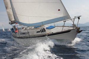 Nicholson 31